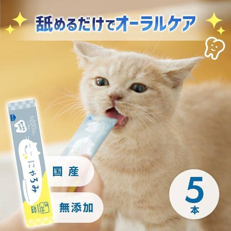 にゃみにゃむ専用 W20230376 ミニカー バイク kawasaki Ninja ZX-10R ニンジャ